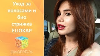 Уход за волосами и био стрижка ELIOKAP Top Level(Как снять зуд и шелушение кожи головы? Как пробудить спящие луковицы и восстановить рост волос? Как вернуть..., 2015-05-28T07:26:33.000Z)
