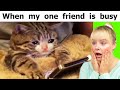 Relatable Memes From Cute Kittens