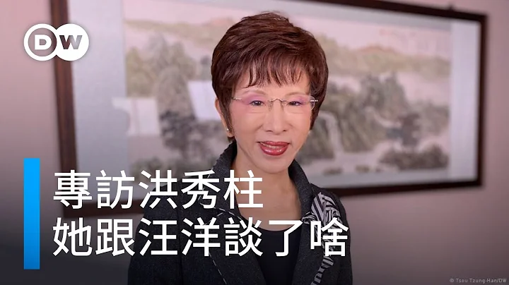 专访洪秀柱：与「对台二把手」汪洋谈了什么？| DW独家视角 - 天天要闻