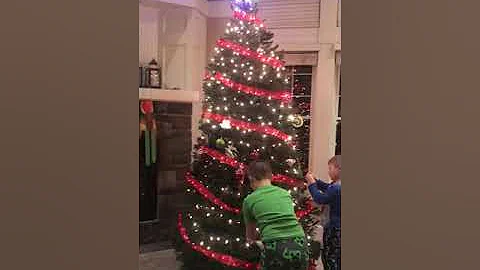 Putting up the Christmas Tree