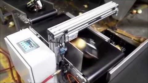 Single Belt Checkweigher