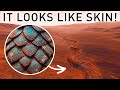 NASA S Curiosity Just Found Giant Scales On Mars Scientists Confused 