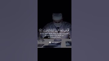 تلاوة تهتز لها القلوب 💔 | القارئ عبدالرحمن مسعد