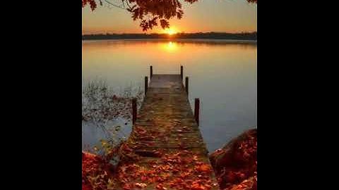 لمن ضاق صدره تلاوه مريحه ماتيسر من سوره يوسف _عبدالله الاغبري