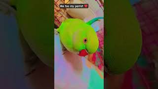 funny parrot voice 😱🦜😱 #funnyanimal #birds #nonstoptalkingparrot #talkingparot #funnybird #funny #ek