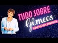 🌟 TUDO SOBRE GÊMEOS 🌪️✨ #gêmeos #signos2025 #curiosidades #marciasensitiva