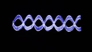 Nonlinear Circuits Is Carp Lust Wrong Eurorack module