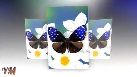 45 سورة الجاثية القارئ سعد الغامدي