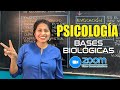 PSICOLOGÍA - Bases biológicas del psiquismo [ZOOM]