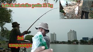 Strike patin 12 kg DANAU SUNTER // umpan patin jitu