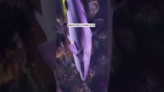 Shark exist before trees 🤯🤯🤯🤯 #viral #facts #algoritham #shark #trending #youtube