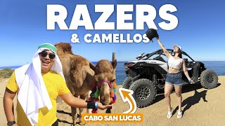 LOS CABOS ✅ TOUR en CAMELLOS & RAZERS | TODO INCLUIDO  ¿QUÉ INCLUYE? | Cabo San Lucas Tours