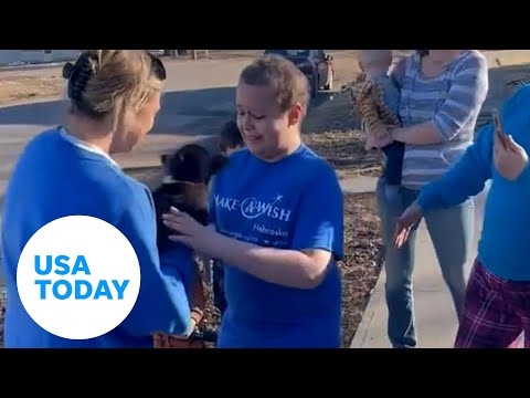 Young boy with brain tumor surprised with adorable corgi puppy | USA TODAY