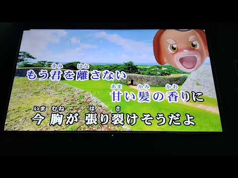 もう君を離さない　classサンの曲歌いました