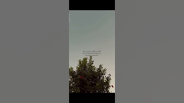 { الرحمن ( ١ ) علم القُرآن ( ٢ ) خلق الإنسان } - تلاوة خاشعة من سورة الرحمن # قناة قُرآن في دقيقة 🌷
