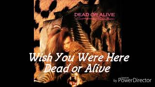 Dead or Alive - Wish You Were Here