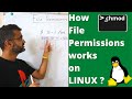 Linux Basics - How to manage file permissions correctly? (2022)