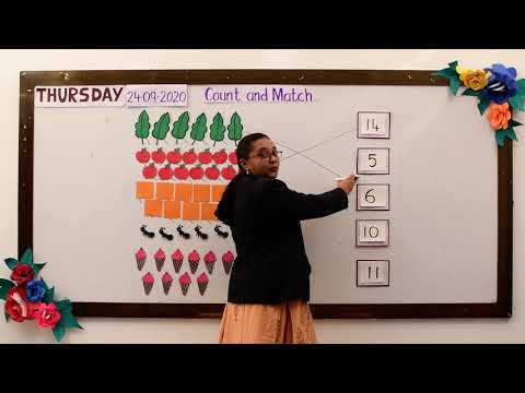Count and Match ( Numbers)