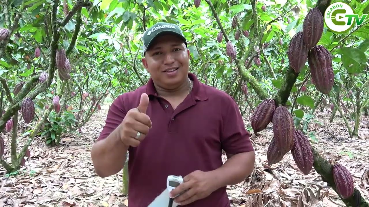 Finca Demostrativa de la Parroquia Unión de Clementina en el Cantón Babahoyo
