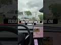 Wrong address on TESLA FSD!