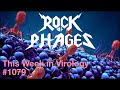 Twiv 1079 rock of phages