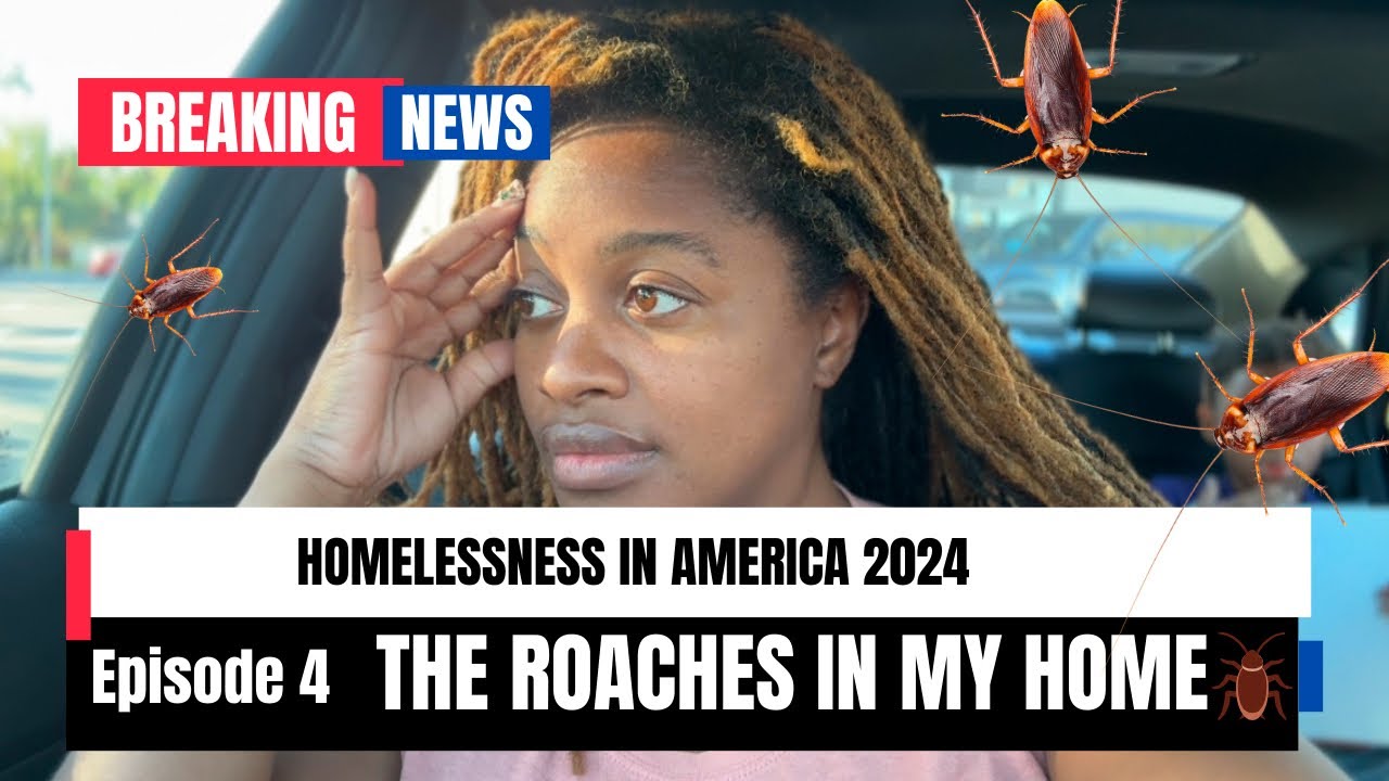 Humelis Bug Update! The horrible reality of Homeless Crisis in Florida | Bug ...