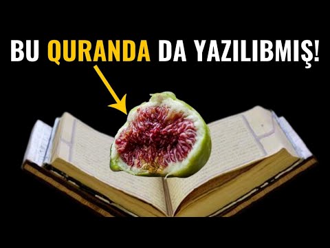 Video: Ətrafdakı Zəhərli Insanlara Qarşı özünüzü Qorumağın 19 Yolu