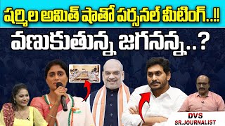 YS Sharmila Personal Meeting With Amit Shah..! | CM Jagan | AP Politics | Delhi | Wild Wolf Digital