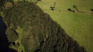 DJI 0001 1