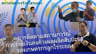 NFC Rayong -- EP.34 - การติดตามสถานการณ์การจ่ายเงินคงค้างผลผลิตสับปะรด ของเกษตรกรลูกไร่ระยอง --