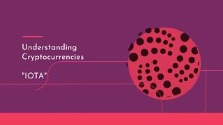 Understanding IOTA with Webricots
