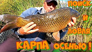 видео: КАК ПОЙМАТЬ КАРПА ОСЕНЬЮ ? ПОИСК места ЛОВЛИ по ХОЛОДНОЙ ВОДЕ . РЫБАЛКА на УДОЧКУ с БОКОВЫМ КИВКОМ ! картинка: КАК ПОЙМАТЬ КАРПА ОСЕНЬЮ ? ПОИСК места ЛОВЛИ по ХОЛОДНОЙ ВОДЕ . РЫБАЛКА на УДОЧКУ с БОКОВЫМ КИВКОМ !