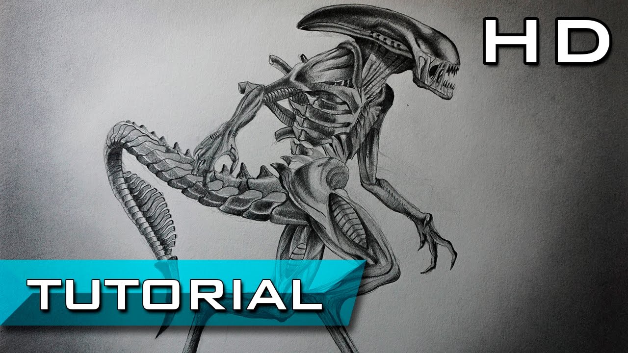 How to Draw Xenomorph from Alien Covenant Step by Step with Pencil