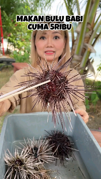 EATING SEA URCHASERS FOR ONLY 5K🥳🥳🥳 #shortstogether (PART1)