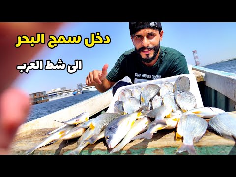 دخل سمج البحر الى شط العرب بسبب اللسان الملحي الصياد وسام الزينبي