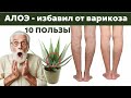 ПОЛЬЗЫ АЛОЭ ВЕРЫ! Помог избавиться от варикоза🤯