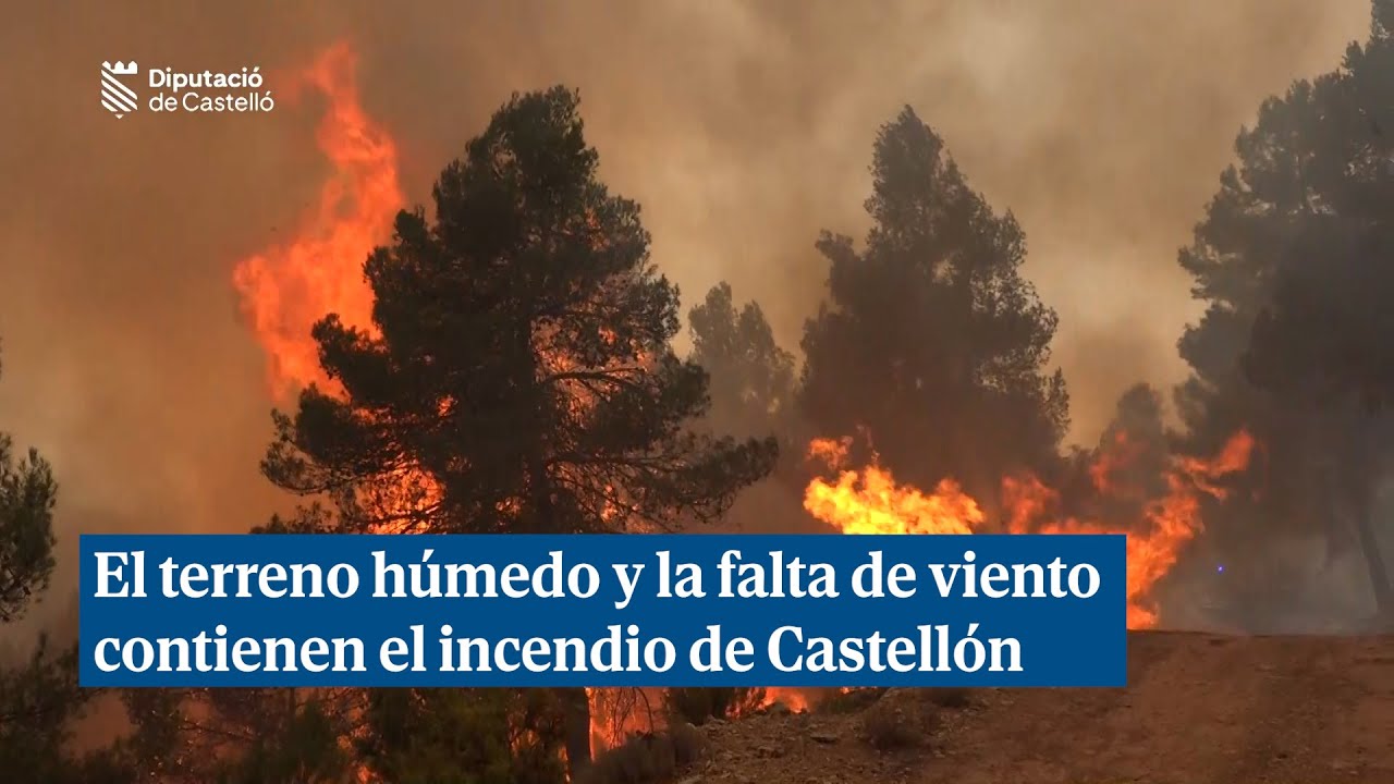 El terreno húmedo y la falta de viento contienen el incendio de Castellón