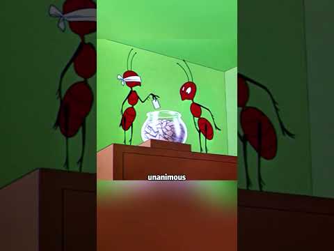 Do you know how dangerous provoking ants is #cartoon #animation #foryou #fyp #usa