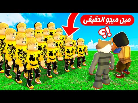فيلم روبلوكس من هوا ميجو الحقيقى ماب البيوت بقى كلها ميجو ناين لولو عمل جبل من القط لولو