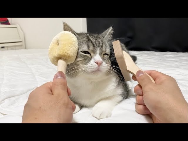 餅猫さま専用 GiGOグループのお店限定 『もちまる日記』プライズキャンペーン