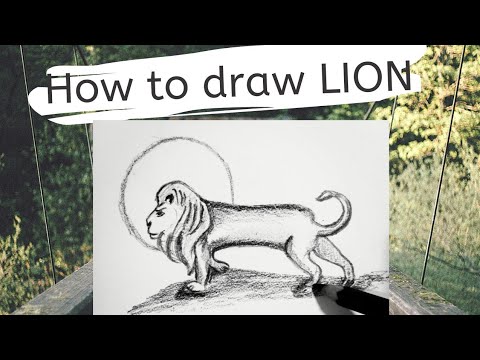 How to Draw a Lion Easy Step by Step - YouTube