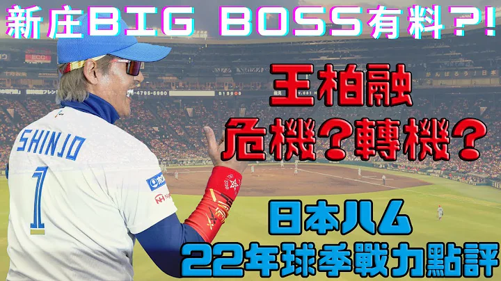 【日本職棒】日本火腿鬥士22年球季戰力點評｜新莊BigBoss有料!?｜王柏融外野危機還是轉機?! - 天天要聞