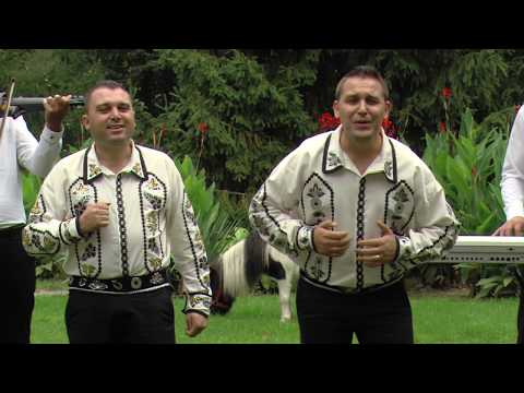 Fratii Mita de la Bals - Hai acasa frate