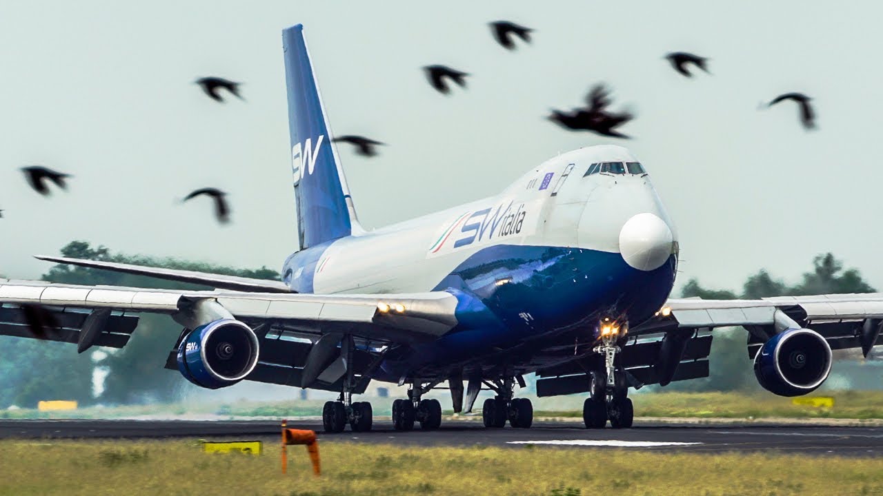BOEING 747 LANDING with LOTS OF BIRDS passing by (4K) YouTube