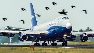 BOEING 747 LANDING with LOTS OF BIRDS passing by (4K)