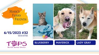 Mark&#39;s Furry Friends #132 | 06/15/2023 | Blueberry, Maverick, and Lady Gray | Web Extra