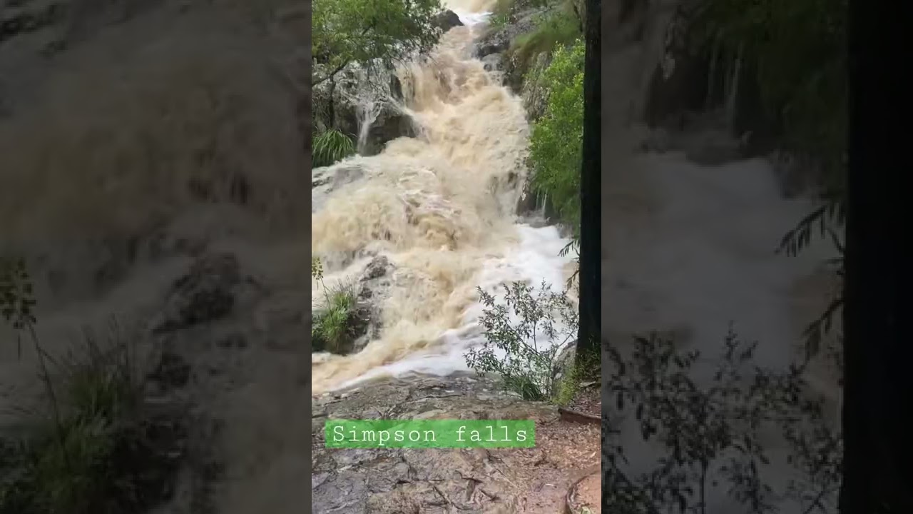 Simpson falls Mount Cootha 25/02/2022