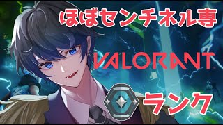 【VALORANT】楽しむのがゲームだよねえ【らふりば/煙夏泡斗】 screenshot 1