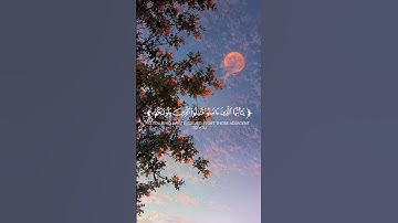 تلاوه خاشعه للقارئ فايح الحارثي ♥️🎧 #تلاوة_خاشعة #اكسبلور #quran #لايك #راحة_نفسية #المصحف #تيك_توك