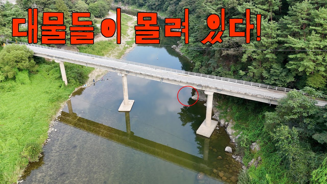 투망 한방에 쏘가리 6마리! 근데 너무 작다~ 대물 찾아 투망 쳐보자!